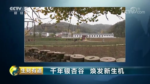 生财有道 《生财有道》 20181220 千年银杏谷 焕发新生机
