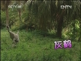 绿野寻踪 《绿野寻踪》 20121114