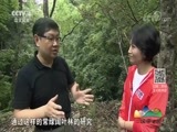 远方的家 《远方的家》 国家公园（2）钱江源 水润山青钱江源 20180816