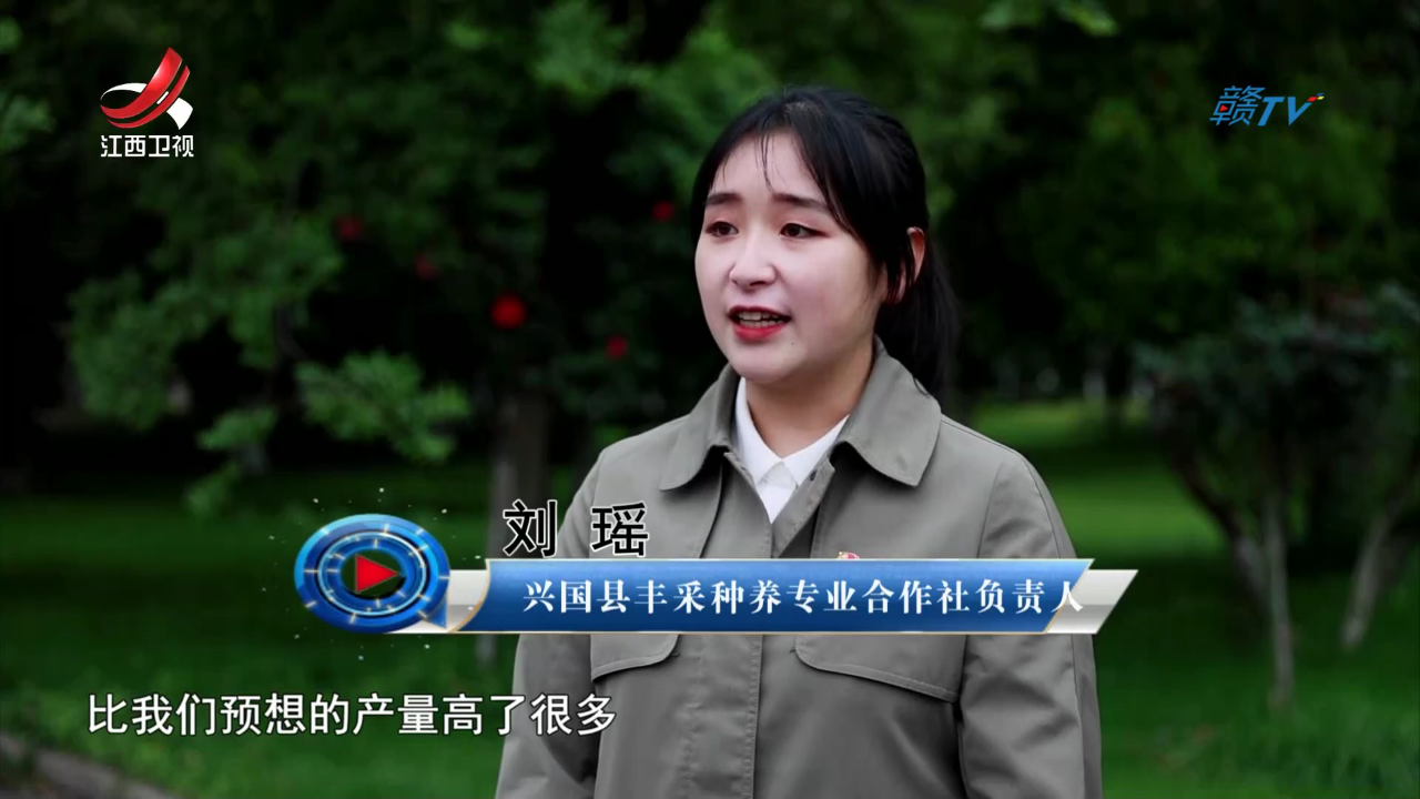 社会传真 追逐梦想 绽放青春