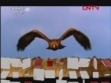自然传奇 动物战场（二）[自然传奇] 20120206