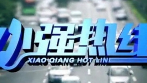 小强热线 小强热线20141126