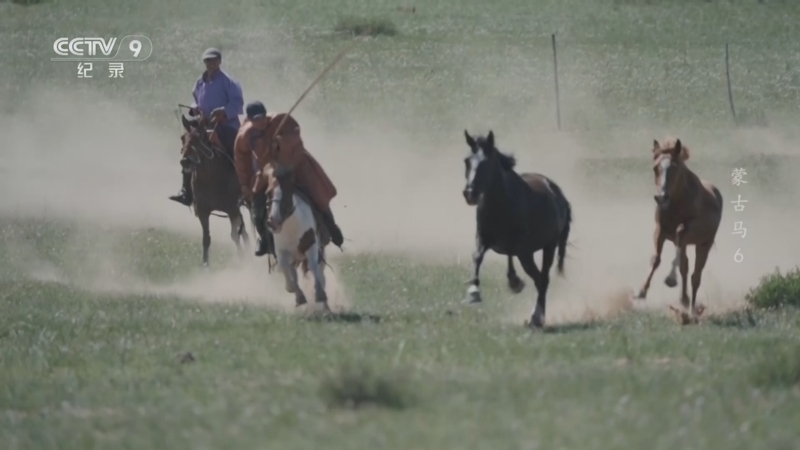 《蒙古马》 第6集