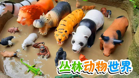 丛林动物世界