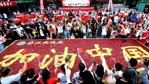 城市资讯台 城市资讯台20190919