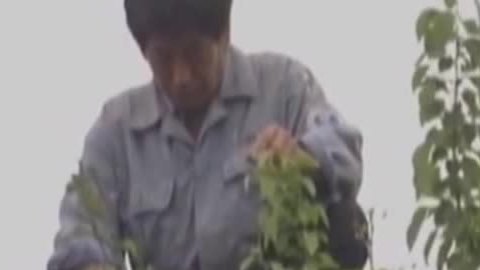 经典传奇 诡异怪事大探秘 山村探宝记