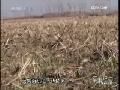军事纪实 20545机组特别行动