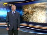新闻夜总汇 《新闻大通道》 20161230