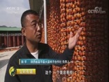 生财有道 《生财有道》 20171025 咱们家乡有特产（秋收系列）——陕西富平：柿子红了 丰收啦