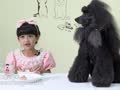 玩疯了之儿童创玩实验室 日本食玩和史上最萌片尾彩蛋