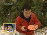 绿野寻踪 聪明的褐马鸡