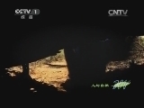 人与自然 《人与自然》 20140622 非常前十名-捕食策略