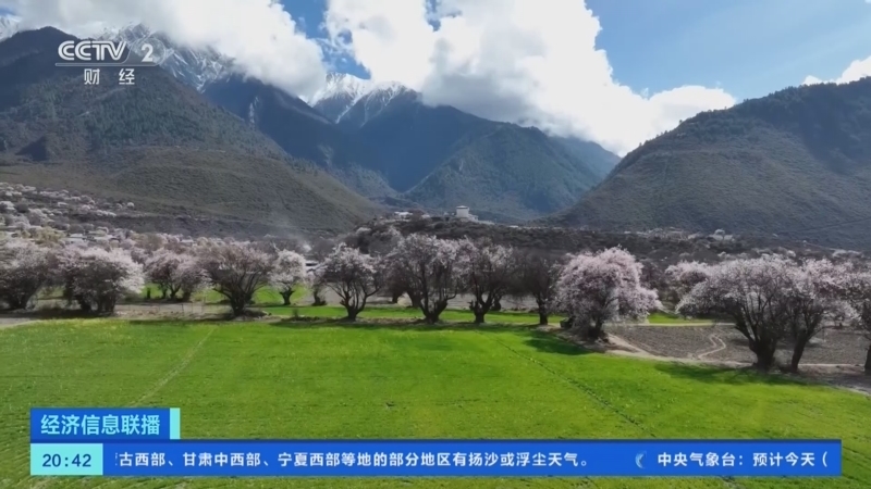 经济信息联播 《经济信息联播》 20240331