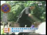 海峡两岸 [视频]暴力攻击张铭清的台南市议员被判刑4个月