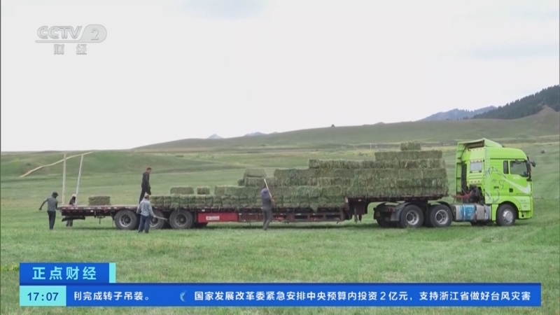 正点财经 《正点财经》 20260811 17:00