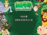 绿野寻踪 《绿野寻踪》 20160608
