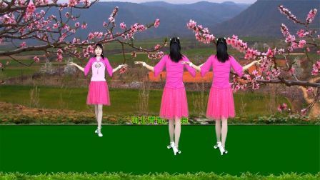 甜蜜对唱DJ广场舞《桃花树下唱情歌》32步演示分解