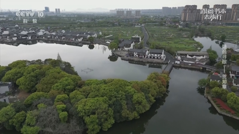 跟着书本去旅行 《跟着书本去旅行》 20260127 隐逸寻踪——贺知章
