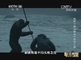 影视名堂 《影视名堂》 20141118 人猿启示录