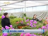 晚间报道 《晚间报道-内蒙古》 20170409