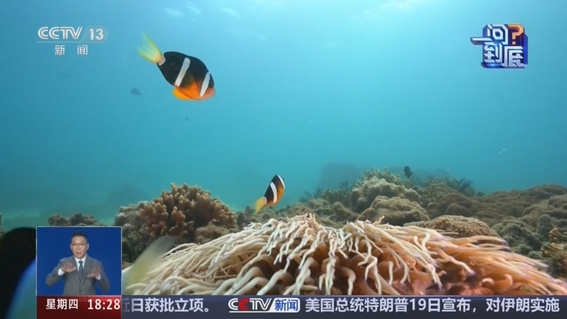 共同关注 《共同关注》 20260820