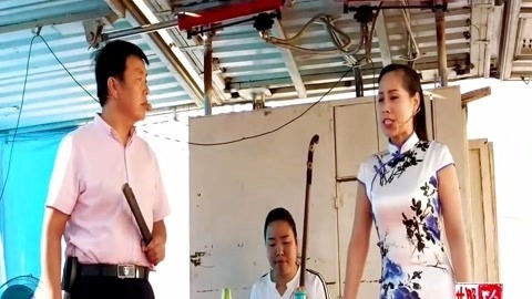 河南坠子 范翠霞 刘公案斩刘墉