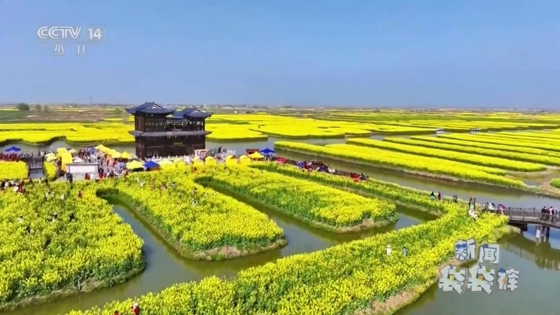 《新闻袋袋裤》 20260401