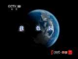 地理中国 地理中国 2011年 第80期 地下的“森林”
