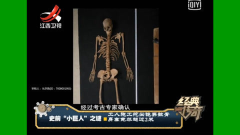 经典传奇 史前小巨人之谜