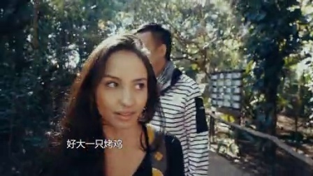 第十集 大嘴鸟的传说