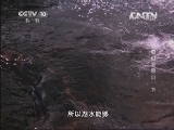 地理中国 《地理中国》 20130526 奇幻老君山（下）