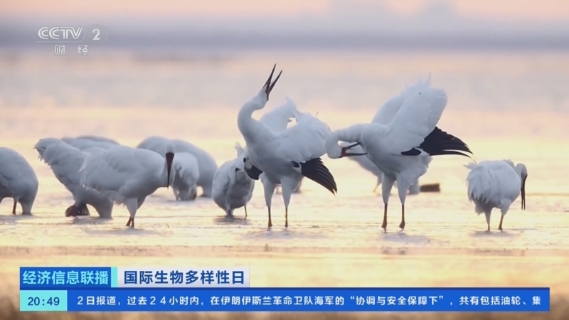 经济信息联播 《经济信息联播》 20260522
