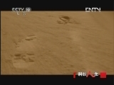 科技人生 《科技人生》 20120526 沙漠之狐