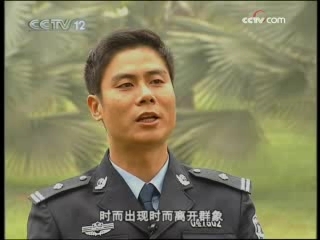 天网 枪响野象谷（下）
