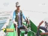 生财有道 《生财有道》 20180723 夏日经济系列：走进大连海王九岛