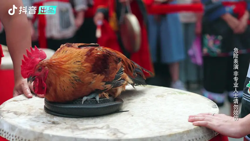 《食鲜记》第1集