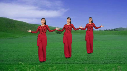 广场舞《最后的倾诉》影视金曲，演唱：刘晓