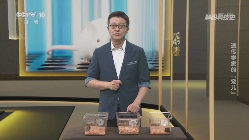 解码科技史 《解码科技史》 20221217 了不起的实验动物——遗传学家的“宠儿”