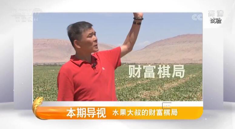 致富经 《致富经》 20190805 水果大叔的财富棋局