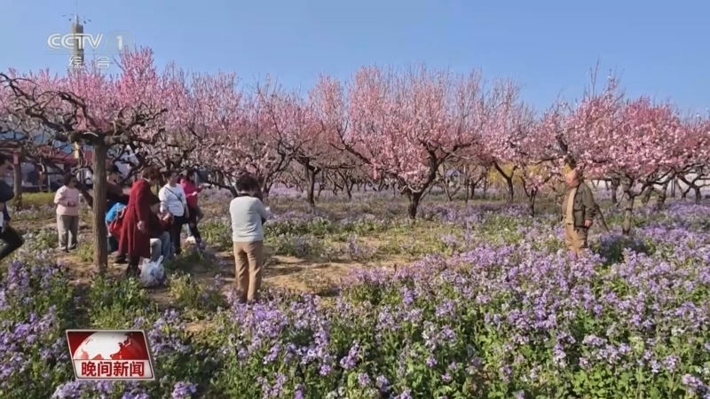 《晚间新闻》 20260410