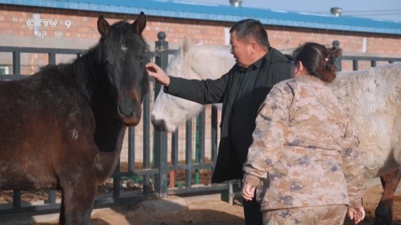 《青春兵团 第二季》 第1集 守护北塔山