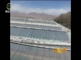 江源扫描 《江源扫描》 20170709 海西：稳粮优供增效 调结构转方式