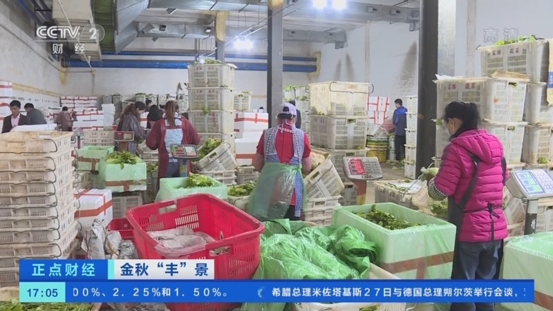 正点财经 《正点财经》 20221028 17:00