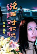 说声对不起 海报