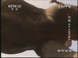 动物世界 《动物世界》 20130607 大象为什么这样疯狂（上）