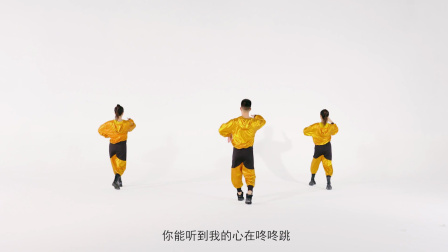 别再问我什么是迪斯科—毕刚（背面展示）