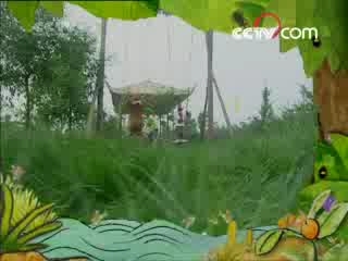 智慧树 智慧树 2008年 第216期