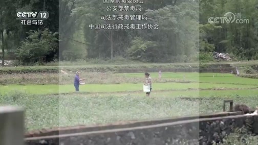 热线12 《热线12》 20190621 禁毒之战2019——边境擒毒