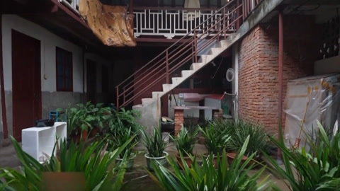 打官司的嫂子与小叔子