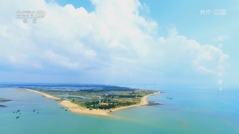 《地理·中国》 20260305 海岸线上的风景4